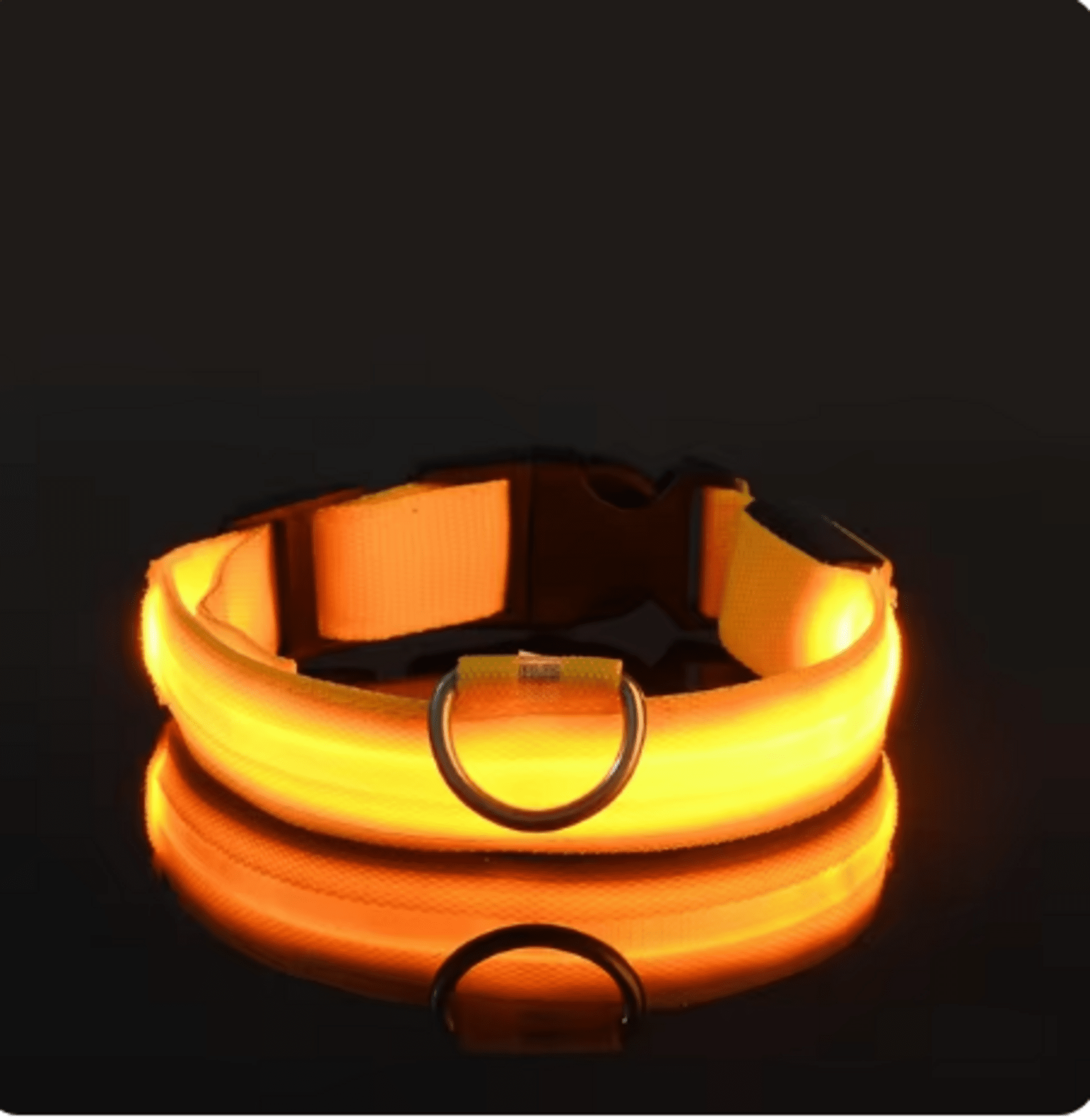 Collar de nailon con luz LED para perro, correa de seguridad nocturna - 3